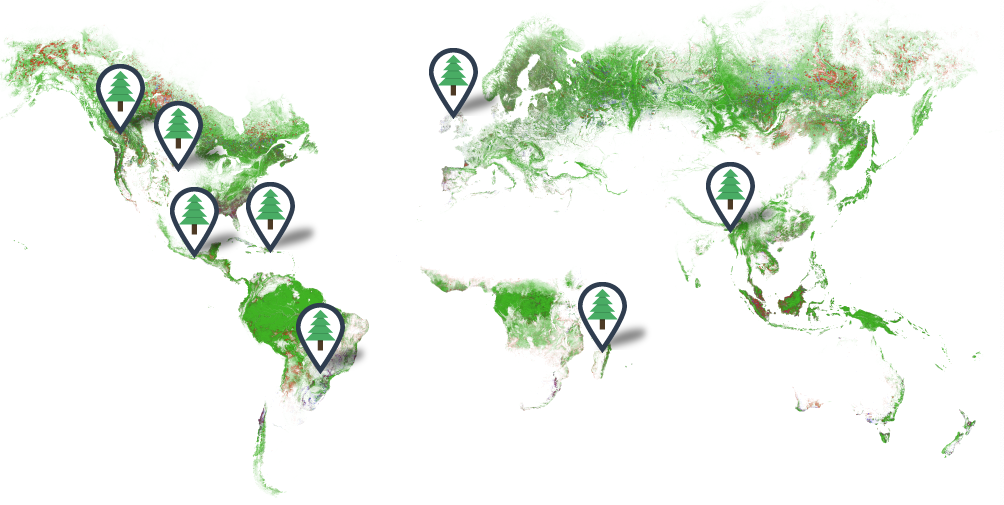 trillion-trees-project-replanting-locations
